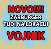 Zarburger vojnik