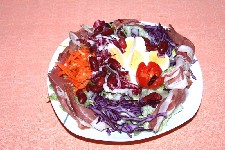 hitraHrana  meni  39 N