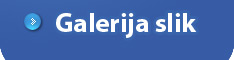 Fotogalerija hamburgerjev, kebabov, sendvičev